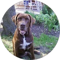 Matthias Rulf Avatar